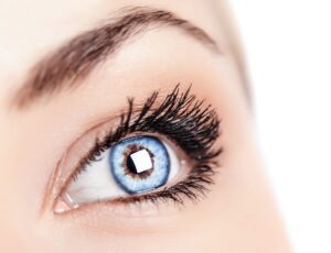 Blepharoplasty | Eyelid Surgery | Plastic Surgery Beverly Hills LA